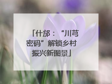 什邡：“川芎密码”解锁乡村振兴新图景