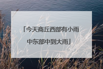 今天商丘西部有小雨 中东部中到大雨