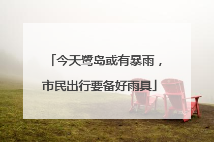 今天鹭岛或有暴雨，市民出行要备好雨具