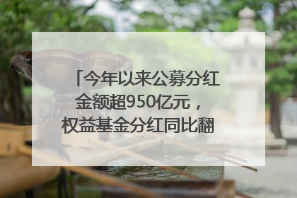 今年以来公募分红金额超950亿元，权益基金分红同比翻倍｜招财猫