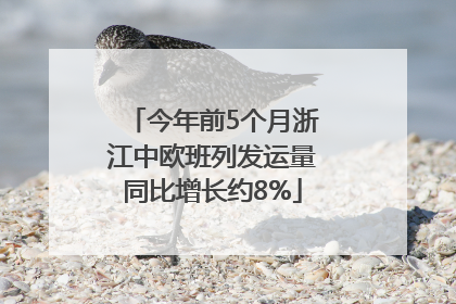 今年前5个月浙江中欧班列发运量同比增长约8%