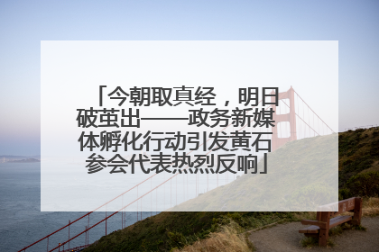 今朝取真经，明日破茧出——政务新媒体孵化行动引发黄石参会代表热烈反响