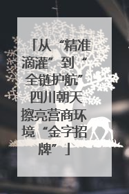 从“精准滴灌”到“全链护航” 四川朝天擦亮营商环境“金字招牌”