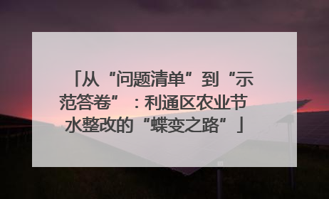从“问题清单”到“示范答卷”：利通区农业节水整改的“蝶变之路”
