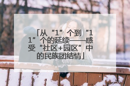 从“1”个到“11”个的延续——感受“社区+园区”中的民族团结情