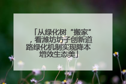 从绿化树“搬家”，看潍坊坊子创新道路绿化机制实现降本增效生态美
