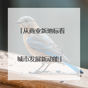 从商业新地标看城市发展新动能