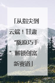 从指尖到云端！甘肃“陇原巧手”解锁创富新赛道