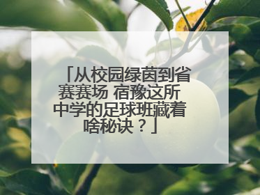 从校园绿茵到省赛赛场 宿豫这所中学的足球班藏着啥秘诀？
