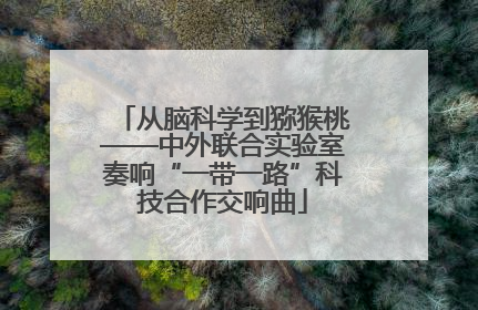从脑科学到猕猴桃——中外联合实验室奏响“一带一路”科技合作交响曲