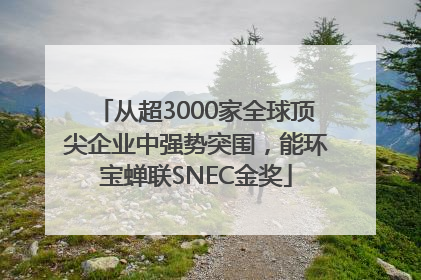 从超3000家全球顶尖企业中强势突围，能环宝蝉联SNEC金奖