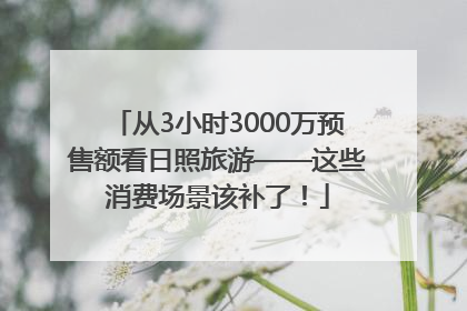 从3小时3000万预售额看日照旅游——这些消费场景该补了！