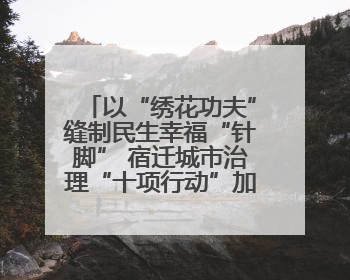 以“绣花功夫”缝制民生幸福“针脚” 宿迁城市治理“十项行动”加速落地