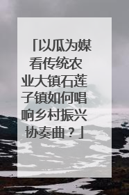 以瓜为媒 看传统农业大镇石莲子镇如何唱响乡村振兴协奏曲？