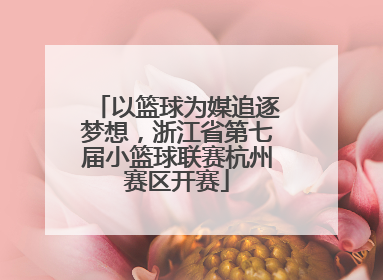 以篮球为媒追逐梦想，浙江省第七届小篮球联赛杭州赛区开赛