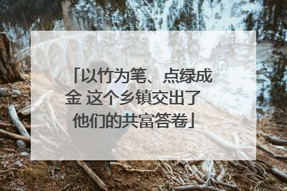 以竹为笔、点绿成金 这个乡镇交出了他们的共富答卷