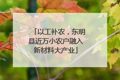 以工补农，东明县近万小农户融入新材料大产业