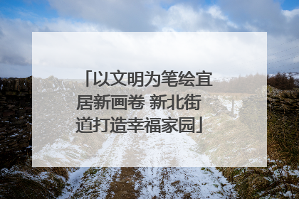 以文明为笔绘宜居新画卷 新北街道打造幸福家园