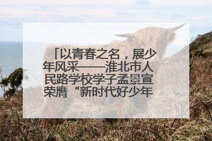 以青春之名，展少年风采——淮北市人民路学校学子孟景宣荣膺“新时代好少年”荣誉称号