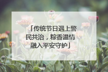 传统节日遇上警民共治，粽香温情融入平安守护