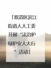 双清区滨江街道人大工委开展“法治护绿护安人大行”活动