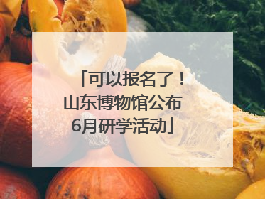 可以报名了！山东博物馆公布6月研学活动