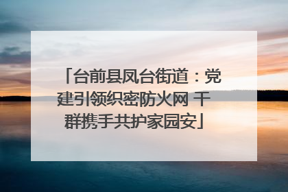 台前县凤台街道：党建引领织密防火网 干群携手共护家园安