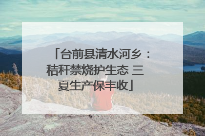 台前县清水河乡：秸秆禁烧护生态 三夏生产保丰收