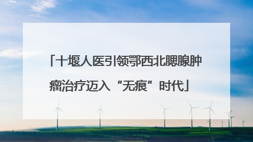 十堰人医引领鄂西北腮腺肿瘤治疗迈入“无痕”时代