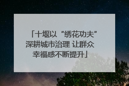 十堰以“绣花功夫”深耕城市治理 让群众幸福感不断提升