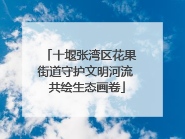 十堰张湾区花果街道守护文明河流 共绘生态画卷
