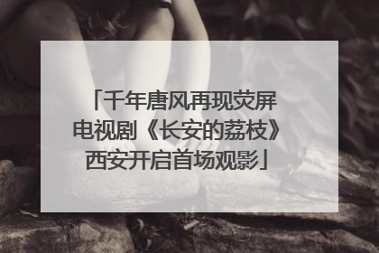 千年唐风再现荧屏 电视剧《长安的荔枝》西安开启首场观影