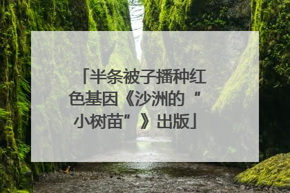 半条被子播种红色基因《沙洲的“小树苗”》出版
