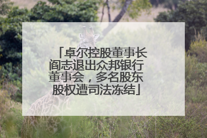 卓尔控股董事长阎志退出众邦银行董事会，多名股东股权遭司法冻结