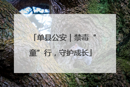 单县公安｜禁毒“童”行，守护成长
