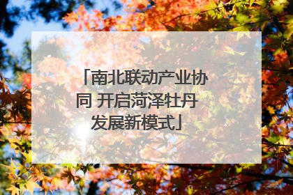 南北联动产业协同 开启菏泽牡丹发展新模式
