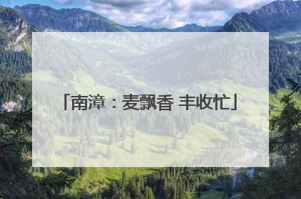 南漳：麦飘香 丰收忙