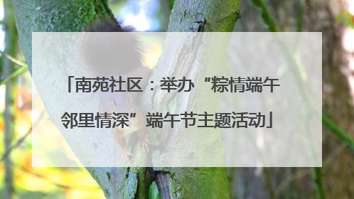 南苑社区：举办“粽情端午 邻里情深”端午节主题活动