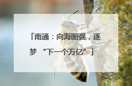 南通：向海图强，逐梦 “下一个万亿”