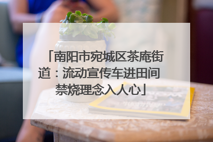南阳市宛城区茶庵街道：流动宣传车进田间 禁烧理念入人心