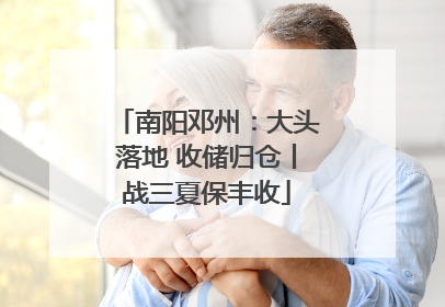 南阳邓州：大头落地 收储归仓丨战三夏保丰收