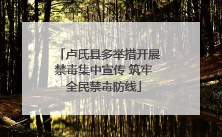 卢氏县多举措开展禁毒集中宣传 筑牢全民禁毒防线