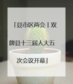 县市区两会丨双牌县十三届人大五次会议开幕
