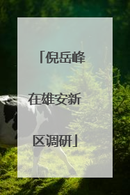 倪岳峰在雄安新区调研