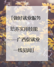 做好就业服务 培养实用技能——广西促就业一线见闻