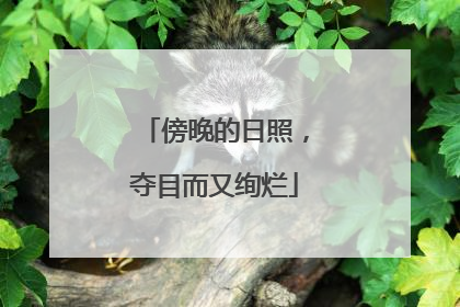 傍晚的日照，夺目而又绚烂