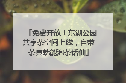 免费开放！东湖公园共享茶空间上线，自带茶具就能泡茶话仙