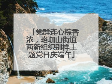党群连心粽香浓，珞珈山街道两新组织别样主题党日庆端午