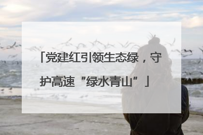 党建红引领生态绿，守护高速“绿水青山”