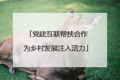 党建互联帮扶合作 为乡村发展注入活力